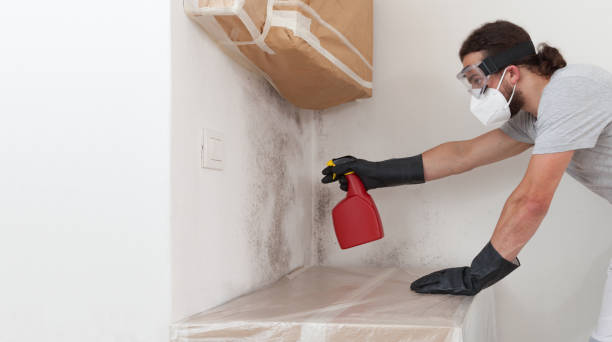 Professional Bathroom Mold Removal technician working in Naples, TX